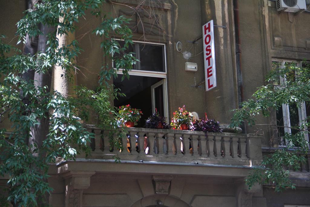 Hostel Sova Novi Sad Bagian luar foto