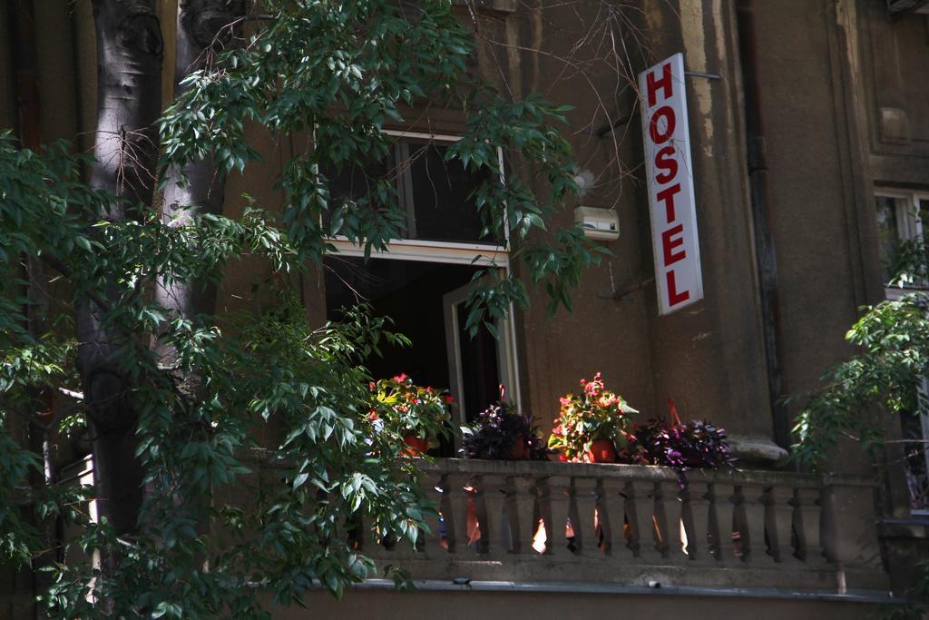 Hostel Sova Novi Sad Bagian luar foto