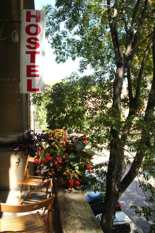 Hostel Sova Novi Sad Bagian luar foto